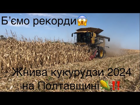 Видео: Жнива кукурудзи🌽 розпочато‼️ Такого врожаю ми ще не збирали😢 Кукурудза в засуху не сипе🤷🏻‍♂️