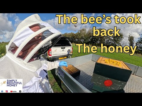 Видео: День открытых дверей в Techtron: пчелы забрали мед обратно!