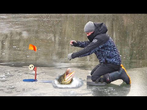 Видео: ЛУЧШЕ, ЧЕМ СИДЕТЬ ДОМА... ЩУКА на ЖЕРЛИЦЫ!!! ПЕРВЫЙ ЛЁД на ДОНЦЕ!!! РЫБАЛКА на ПЕРВОМ ЛЬДУ