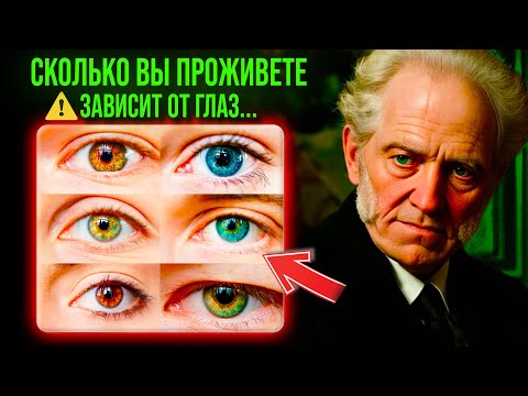 Видео: ЭТО НЕВЕРОЯТНО! Ваши Глаза Расскажут Вам Больше, Чем Думаете... Доказательства Шопенгауэра