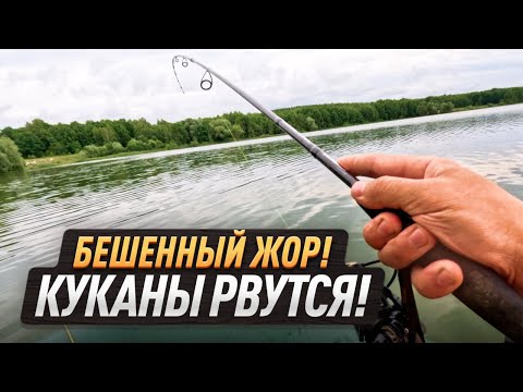 Видео: ДИКИЙ ЖОР ОКУНЯ на ЛЕСНОМ ОЗЕРЕ. МЕСТА на кукане НЕ ХВАТИЛО!