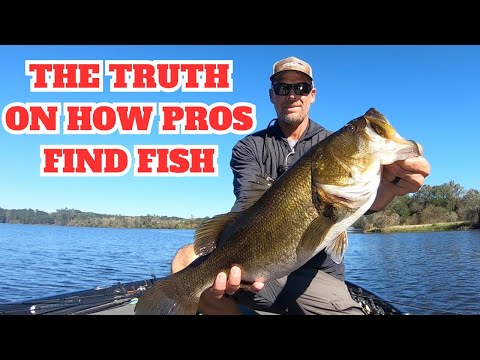 Видео: НЕ ДАЙТЕ СЕБЯ ОБМАНУТЬ ДРУГИМ ВИДЕО (НАСТОЯЩИЙ СПОСОБ, КАК ПРОФЕССИОНАЛЫ НАХОДЯТ РЫБУ)