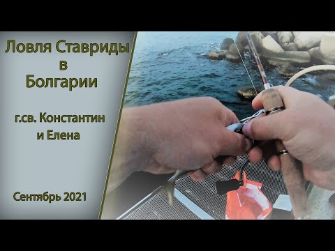 Видео: Ловля ставридки, Болгария, г св  Константин и Елена, Сентябрь 2021