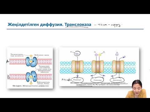 Видео: ЖАСУША МЕМБРАНАСЫ АРҚЫЛЫ ЗАТТАРДЫ ТАСЫМАЛДАУ ТИПТЕРІ || ХИМИЯ - БИОЛОГИЯ МЕКТЕБІ || НЕСІБЕЛІ АПАЙ