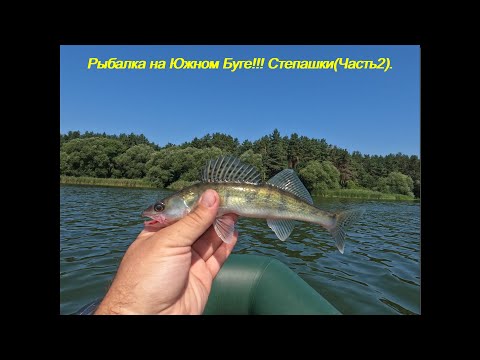 Видео: Рибалка на Південному Бузі!!! Степашки(Частина2).