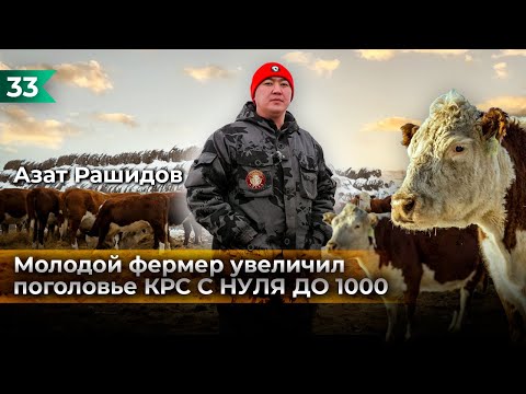 Видео: Как с нуля дойти до 1000 голов КРС?