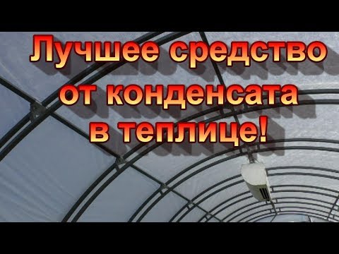 Видео: От конденсата в теплице быстренько натягиваем агроволокно.