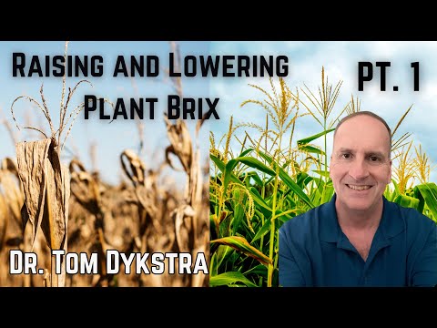 Видео: Доктор Том Дайкстра | Повышение и понижение индекса Брикса, часть 1