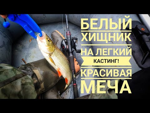 Видео: Рыбалка на Красивой мече сплавом в конце августа! Лайтовый кастинг! Shimano Zodias против жереха