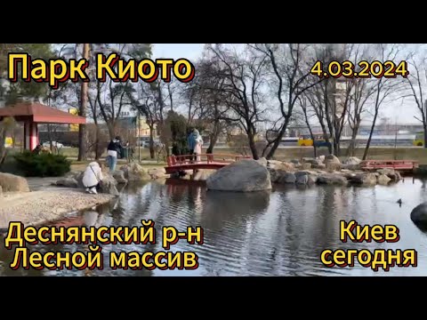 Видео: Деснянский район, Лесной Массив