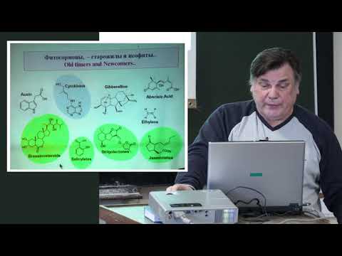 Видео: Носов А. М. - Физиология растений II - Фитогормоны. Ауксины, циткинины, гиббереллины