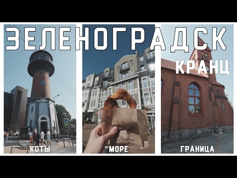 Видео: ЗЕЛЕНОГРАДСК: коты, крендели, граница и МОРЕ | baltic trip