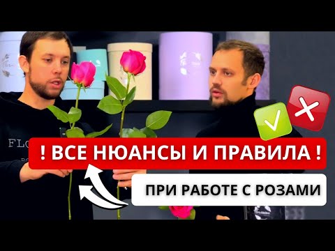 Видео: 🌹 КАК ПРАВИЛЬНО РАБОТАТЬ С РОЗАМИ? Как принимать, напоить, почистить, подрезать, выставить розы?