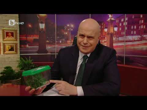 Видео: Шоуто на Слави: Баба Вуна за жабата, която Беър Грилс изяде