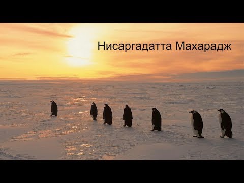 Видео: Проявленное не имеет цели.  Нисаргадатта Махарадж — Ничто есть Всё