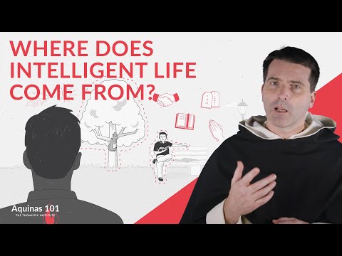 Видео: Эволюция и сотворение человека (Аквинат 101)