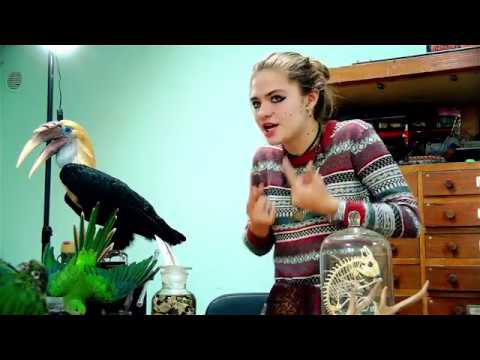 Видео: ЭКСПРЕССИВНАЯ МАРГО О ЗАКОНАХ И БЕДНЫХ ЖИВОТНЫХ