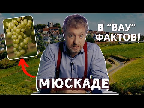 Видео: Сорт винограда [МЮСКАДЕ ] - 8 "вау" фактов