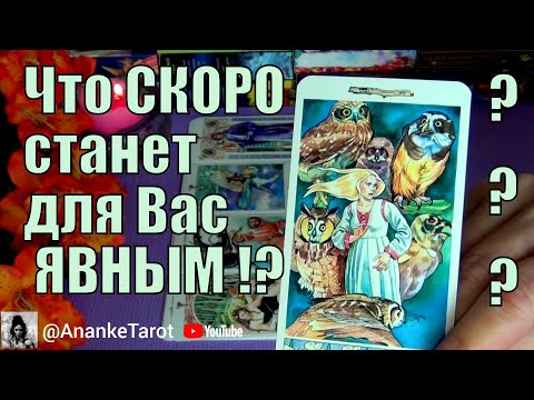 Видео: ЧТО ТАЙНОЕ💥СКОРО СТАНЕТ ЯВНЫМ и УДИВИТ ВАС? 🍀♥️ Гадание Таро