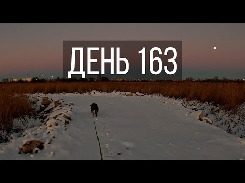 Видео: День 163