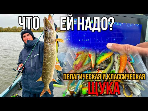 Видео: Как понять осеннюю щуку? Пелагическая ловля и не только | Рыбалка на реке