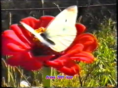 Видео: 2001 год ОСЕНЬ КИРОВСКИЙ поселок ПРИМОРСКИЙ КРАЙ Любимый и красивый наш поселок в далёком прошлом