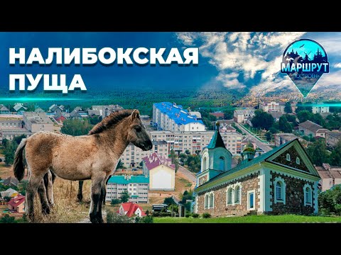 Видео: Путешествие в Воложинский район | Налибокская пуща | Гончарное дело| МАРШРУТ ПОСТРОЕН