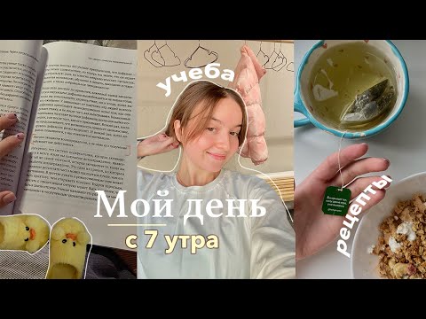 Видео: Мой Учебный День с 7 утра ✨ мое утро,  рецепты, танцы, друзья и мои мысли обо всем