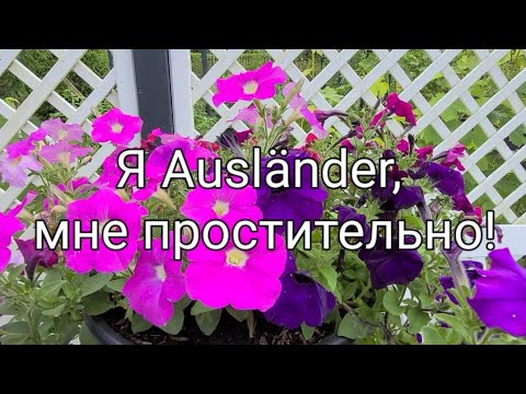 Видео: Наши Дачи на севере Германии/Урожай картошки!