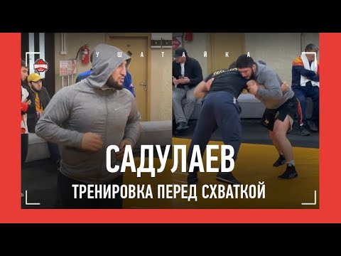 Видео: АБДУЛРАШИД САДУЛАЕВ: тренировка перед схваткой / РАЗМИНКА и СПАРРИНГ