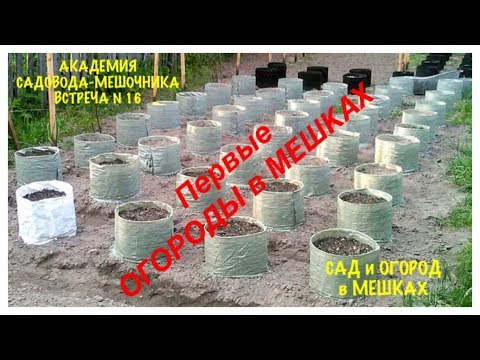 Видео: ОГОРОДЫ в МЕШКАХ 2018. Первые работы студентов АКАДЕМИИ САДОВОДА-МЕШОЧНИКА.АСМ N 16.GARDENS in BAGS.