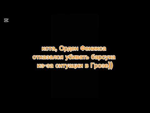 Видео: о ситуации в Грозовом племени, смена верха, отсутствие привилегий