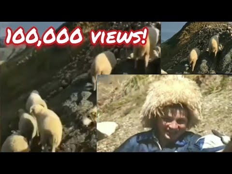 Видео: Старинная Аварская Песня🎼 Замечательный Голос | Avar Mahnısı📻