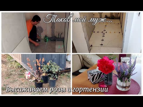 Видео: ТАКОВ МОЙ МУЖ...😊 Высаживаем розы и гортензии. ОБУСТРОЙСТВО В НОВОМ ДОМЕ!