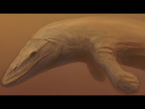 Видео: Морские Монстры Ставшие Речными Хищниками 