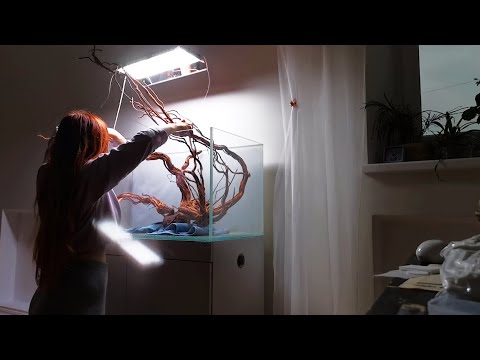 Видео: Nature Aqua 90p Коряги Чечил