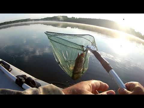 Видео: На озеро Раухово с сыном Кириллом