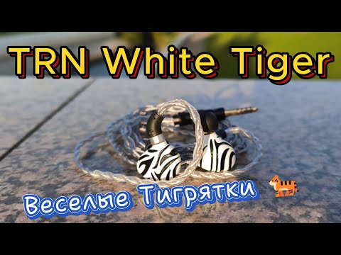 Видео: TRN White Tiger - Веселые Тигрятки 🐅