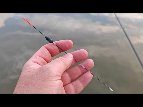 Видео: "Криль или халибут: что поймает больше рыбы?" Рыбалка осенью.