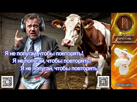 Видео: ФЕЛИЧИТА. Портрет мошенника из глубинки. Телефонное мошенничество #скам #аферисты #антимошенники