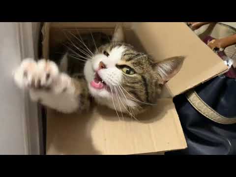 Видео: Все хорошо бывает только в сказке😏//