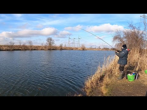 Видео: Рыбалка первого января! Ловим карасей на фидер