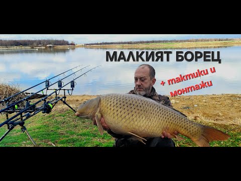 Видео: Зимни шарани на Малкият Борец