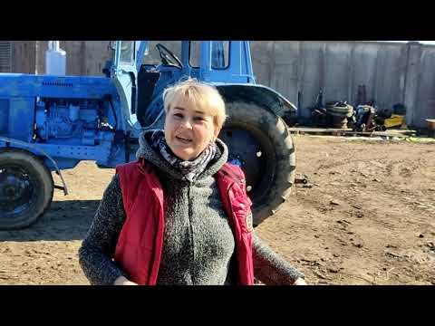 Видео: Ремонт трактора закончен. передаю сестре.