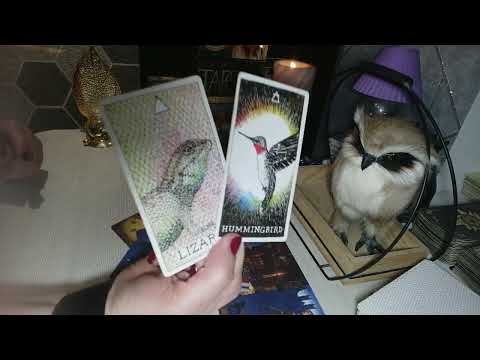 Видео: 🔥🤦Он сам в шоке💥. Что там с ним происходит из за Вас🤦💥