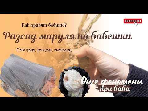 Видео: ДНЕВЕН ВЛОГ | КАК БАБИТЕ ПРАВЯТ РАЗСАДА. 🌱 *БАБА ИМА ОТНОВО ФЕНОМЕНИ! 😲