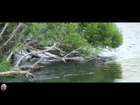 Видео: р КРАСИВАЯ МЕЧА  с Мечнянка,с Ступино,п Калиновский,Ишутинское городище  Август 2020г