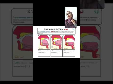 Видео: 1-МАХРАДЖ САБАҒЫ Әл Джауф