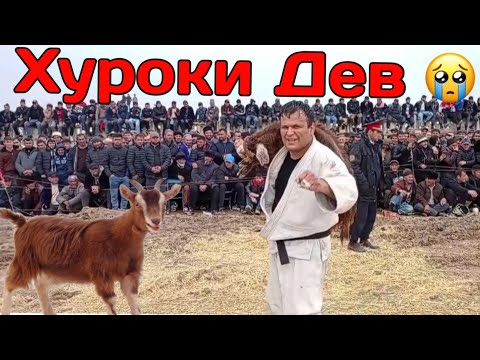 Видео: Дев Пахлавон Хуроки Чанрузаша Ёфт Гуштини Нохия Ёвон 2024