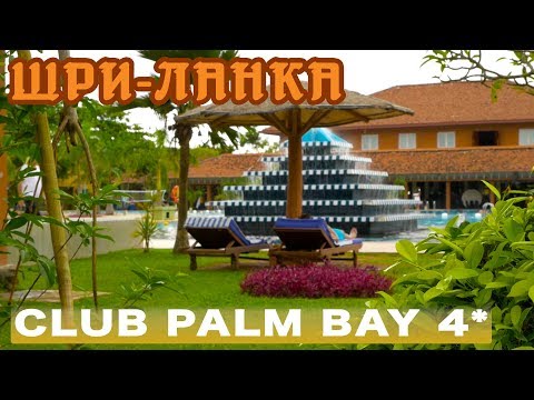 Видео: Шри-Ланка, Маравила | Отель Club Palm Bay 4*